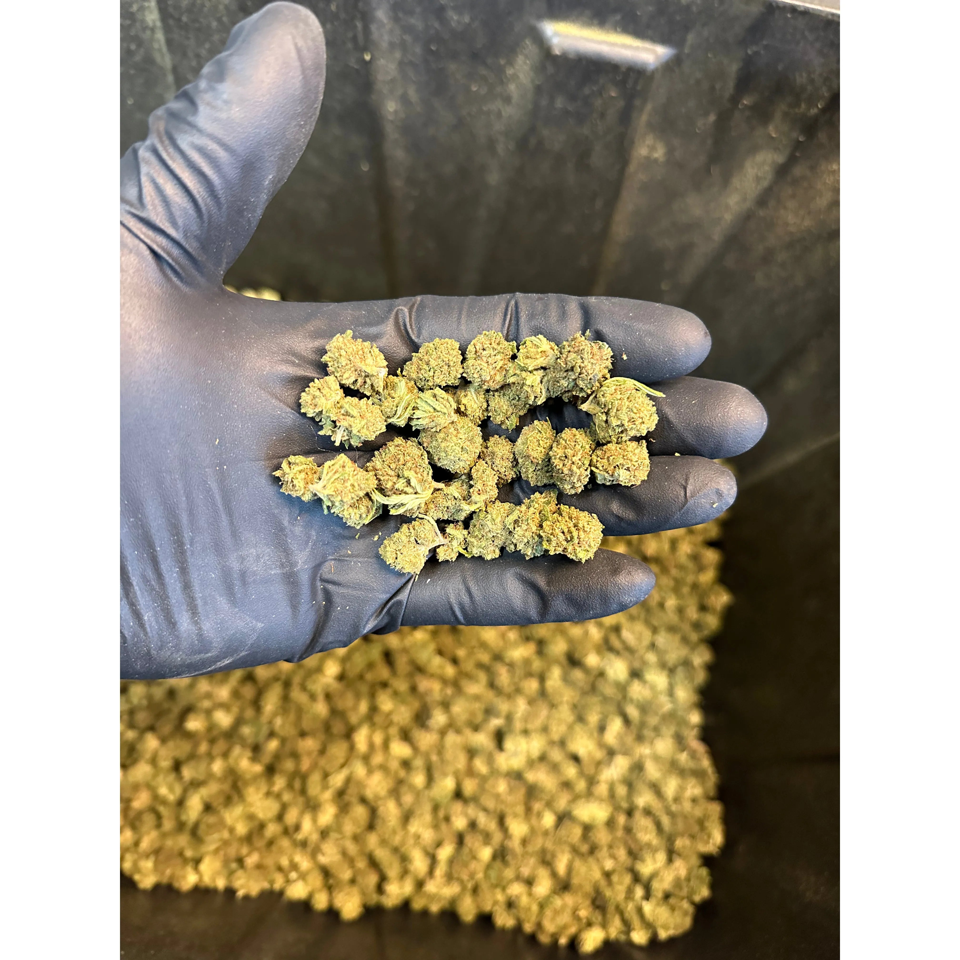 Critical Berry Hemp Flower Smalls